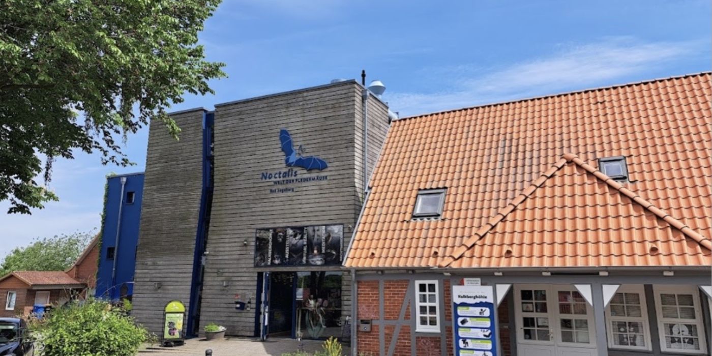 NOCTALIS – Welt der Fledermäuse in Bad Segeberg
